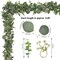 2-Pack 6ft Artificial Eucalyptus Garland – Faux Greenery Vines with Silver Dollar Leaves for Wedding Backdrop, Table, Wall, and Home Party Decor